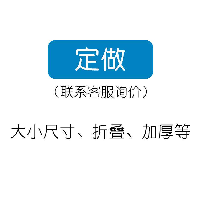 椰棕床垫民宿公寓出租房宾馆家用床垫子儿童席梦思厂家直销