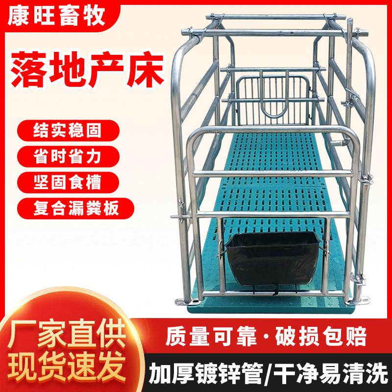 落地式母猪产床带粪板单双体产保一体两用热浸镀锌猪用保育养殖设