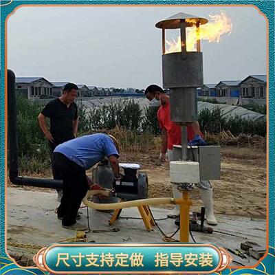 养殖场污水处理厂沼气火炬厌氧沼气池配套小型火炬安装图