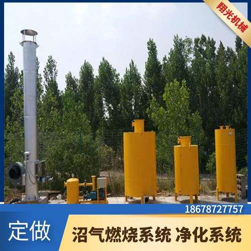 沼气燃烧火炬封闭式燃烧装置点火系统燃烧系统废气除臭