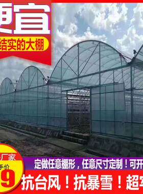 温室大棚骨架蔬菜养殖联动大棚钢管全套农业连体连栋大棚支架钢架