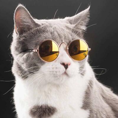 Pet Products Lovely Vintage Round Cat Sunglasses Reflection