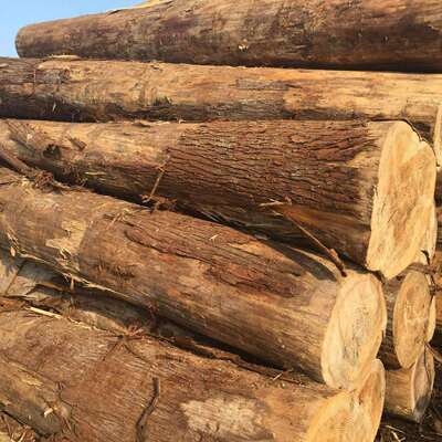 原木大柳口433径原木杉棺木寿材杉木杆工地河打桩道杉木桩实木板