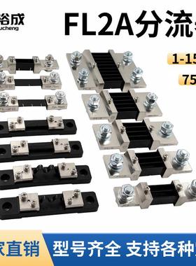 FL-2直流分流器75mV电流表A级50A100A200A300A400A500A1000A0.5级