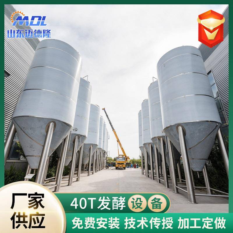 啤酒酿酒全套设备60T储酒罐储液罐不锈钢储罐精酿啤酒设备