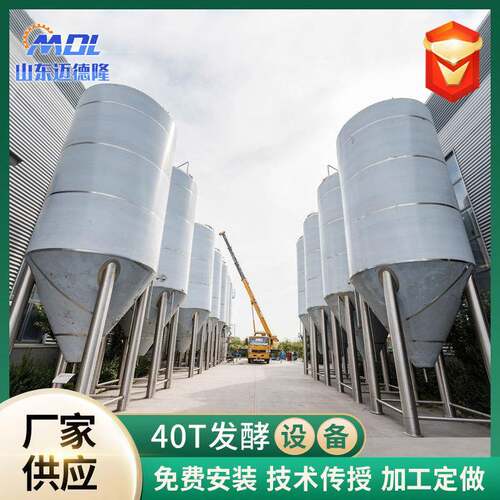 啤酒酿酒全套设备60T储酒罐储液罐不锈钢储罐精酿啤酒设备