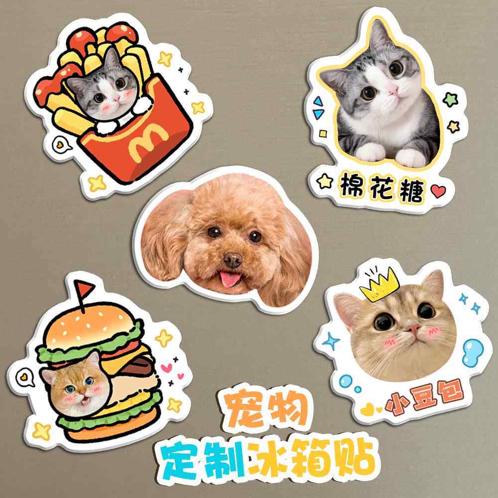 亚克力宠物照片定制冰箱贴立体磁铁贴猫咪创意卡通可爱磁吸贴定做