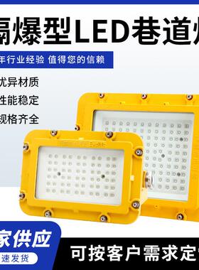 供应DGS50-127L隔爆型LED巷道灯50w100w24V36v矿用防爆灯