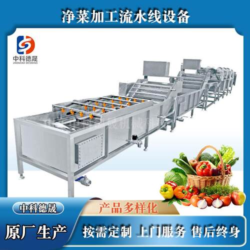 中科德晟原厂供应冲浪式喷淋洗菜机设备果蔬脆片清洗设备