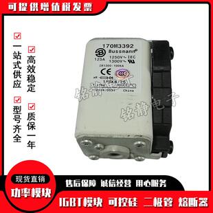 170M3422 170M3421 170M3423巴斯曼保险丝 170M3420 170M3419