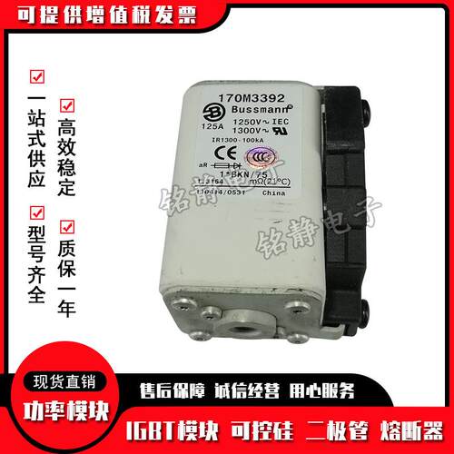 170M3558 170M3559 170M3560 170M3561 170M3562 170M3563熔断器