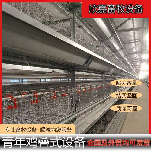 鸡笼全自动青年鸡养殖设备自动喂料自动清粪龙门喂料背负喂料设备