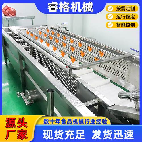 全自动多功能清洗机 丝瓜菜果蔬清洗机 不锈钢气泡式菜豆清洗机