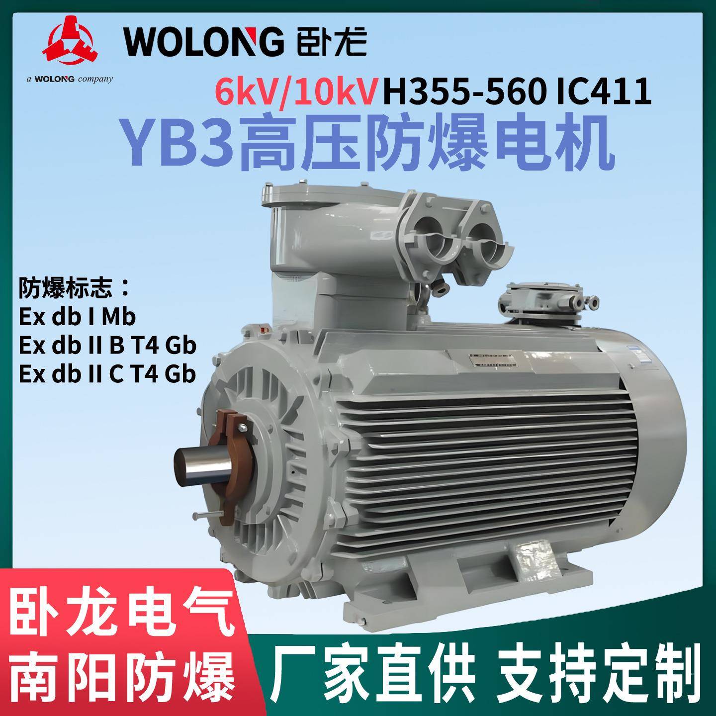卧龙电气南阳YB3防爆电机高压6/10V二级能效支持B3/B35/V1安装