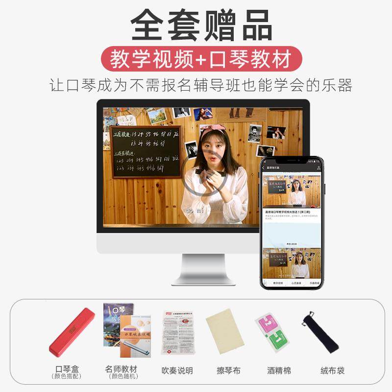 正品口琴24孔儿覆音C可调成人初学学生童者入门自学口风琴刻字乐
