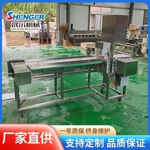 自动穿串铁签臭豆腐菜卷串骨肉相连穿肉机亲亲肠川香鸡柳穿串设备