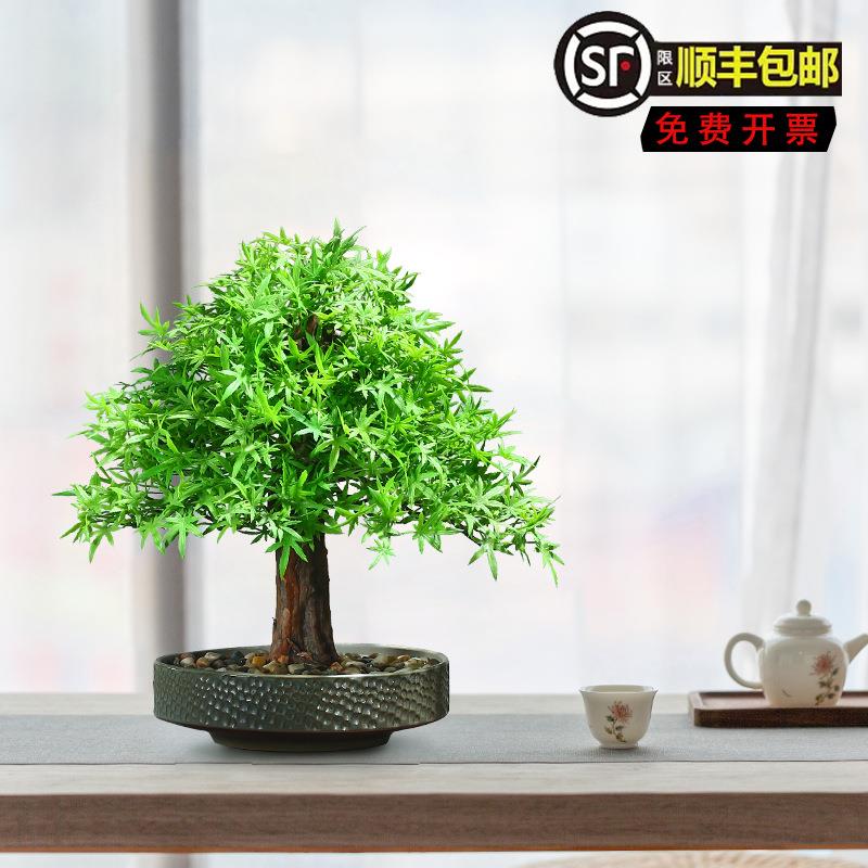 仿真绿植红枫叶迎客松盆景新年摆件造景酒店仿真松树盆栽室内景观
