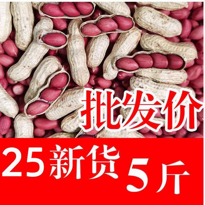 2025年新红皮花生米生新货生花生带壳晒干新鲜红衣炒货花生新鲜