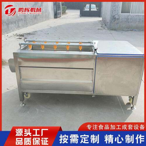 新土豆去皮清洗机 根茎类蔬菜毛辊喷淋清洗机 生蚝去杂清洗机