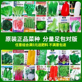 蔬菜种子大全四季阳台盆栽香菜生菜，上海青西葫芦葱黄瓜辣椒种籽孑