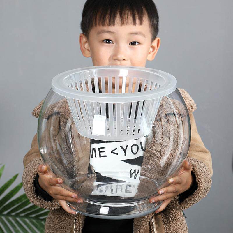 玻璃瓶透明水养绿萝花瓶花盆圆形特大号水培植物容器鱼缸器皿摆件
