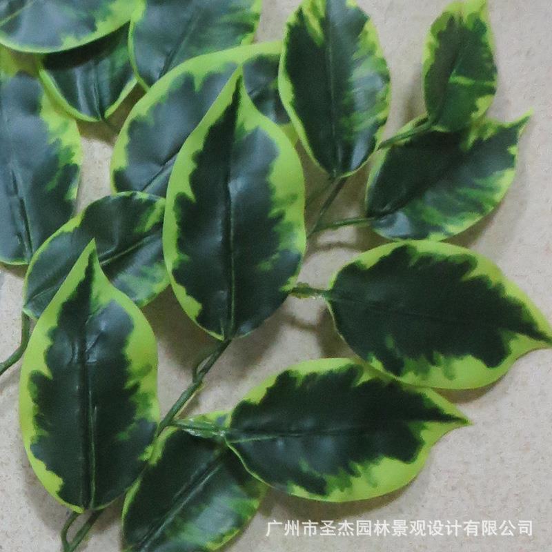仿真榕树叶榕树枝 大型仿真树假树枝装饰仿真植物 仿真双色榕树叶