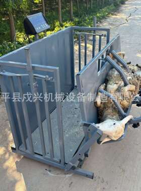 称重羊防通道翻作转修羊蹄剪羊疫CXP毛流水式线操机械