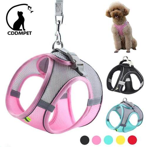 Dog Harness Leash Set for Small Dogs Adjustable Puppy Cat Ha
