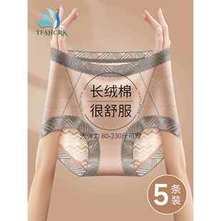 正品天梵茜施尔 康新款胖mm大尺码纯棉抗菌裆高腰收腹不卷边内裤