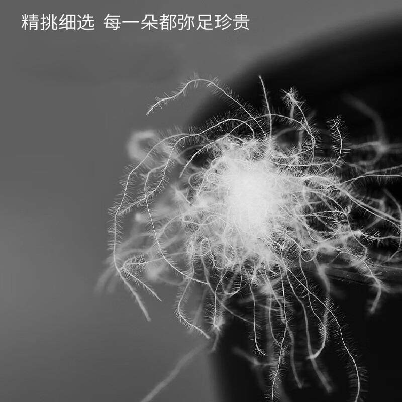 羽芯绒家枕头酒棉店布草宾馆床上用品居全棉贡缎宿舍纯面料白鹅绒