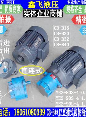 CB-B16JZ CB-B20JZ CB-B25JZ CB-B32JZ直插式齿轮油泵电机组