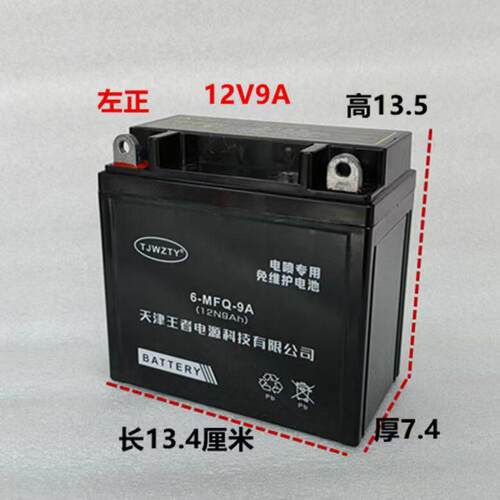 12V机车电瓶12v9a免维护干蓄电池125弯梁滑板车通用干 干电池7ah