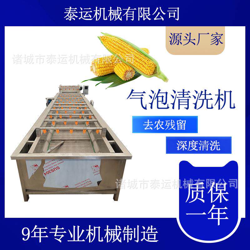 贡梨刺梨气泡清洗机茴香去泥沙洗菜机芒果清洗设备树莓清洗去杂机
