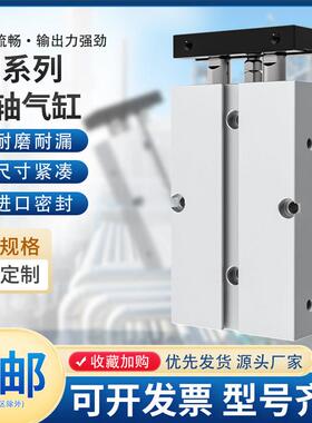 小型气动TN双轴双杆气缸10/16X10/20/30/40/50/60/70/80/90/100-S