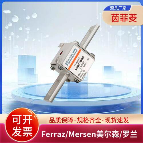 A070UD30KI80 C300129 A070UD30KI100 D300130美尔森/罗兰熔断器