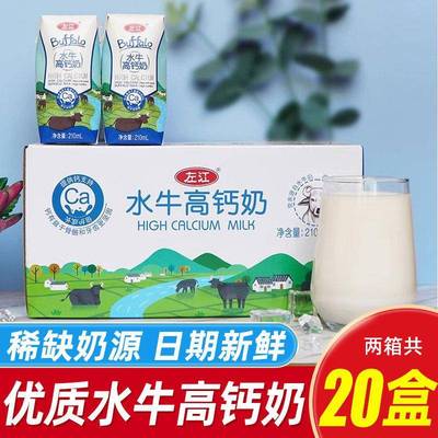 左江水牛高钙奶整箱广西学生儿童成人营养早餐中老年补钙牛奶