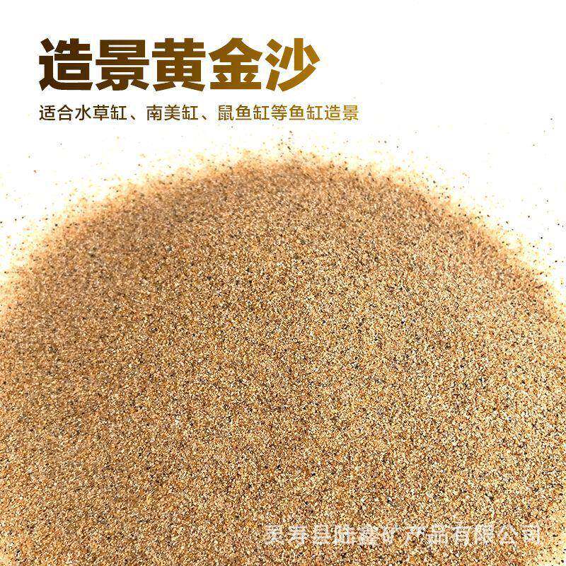 黄金沙细黄沙超细溪流沙铺底石砂化妆沙鱼缸草缸金色南美小颗粒