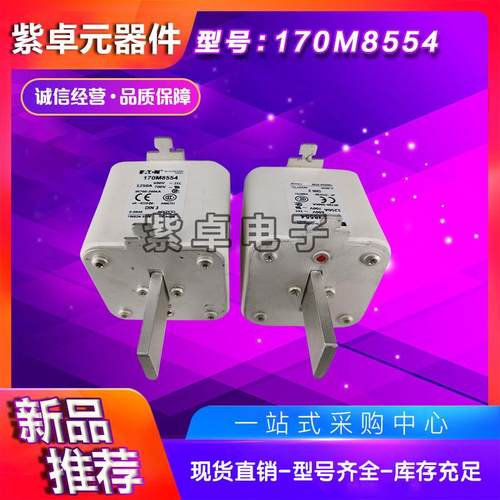 170M6892D170M8554D170M8555D170M8556D170M8557D快速熔断器