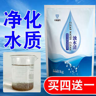 浊水清鱼塘净水剂改善净化水质鱼池新塘浑浊水变清水产养殖调水剂