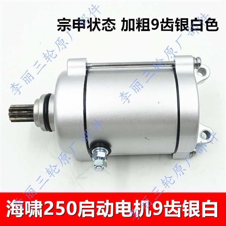 包邮大排量三轮车启动电机 宗申海啸250隆鑫260威锋悍威起动机