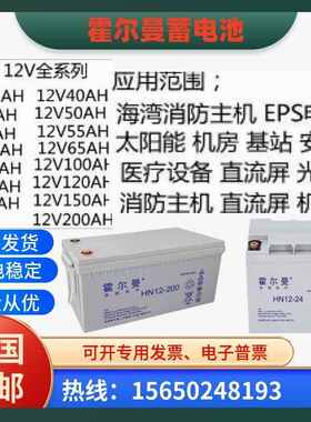 美国霍尔曼蓄电池HN12-100 12v100AH17AH24AH38AH65A200A机房应急