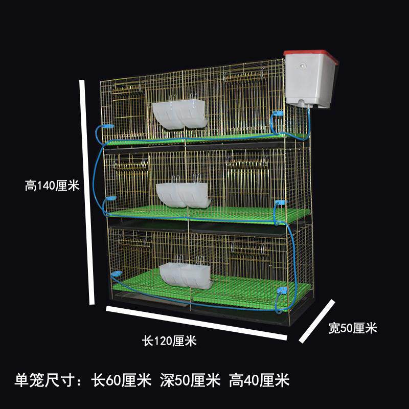 兔笼子家用大号特大空间养宠物小兔子的室内专用托盘新式兔子笼