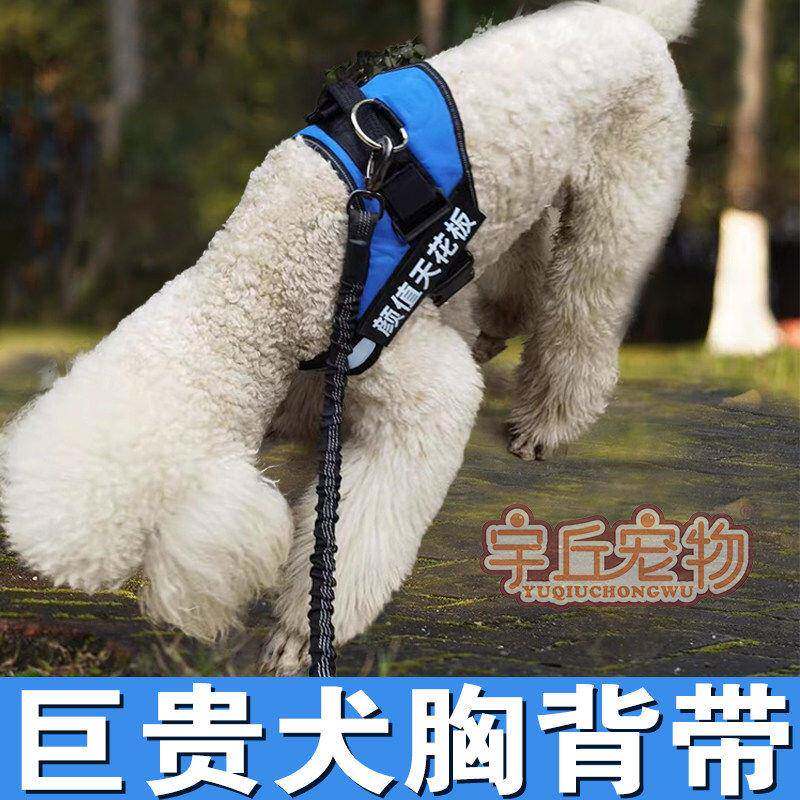 巨型贵宾犬巨贵犬专用狗狗胸抱婴袋牵引绳项圈遛狗绳链子大型犬用