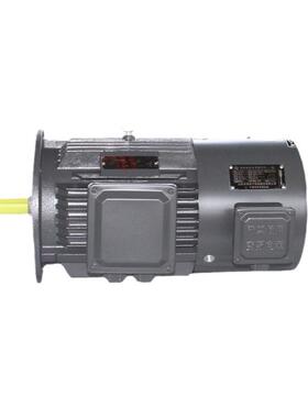 衡水电机厂家定制生产YVFE2-4极2.2-200W变频调速三相异步电动机