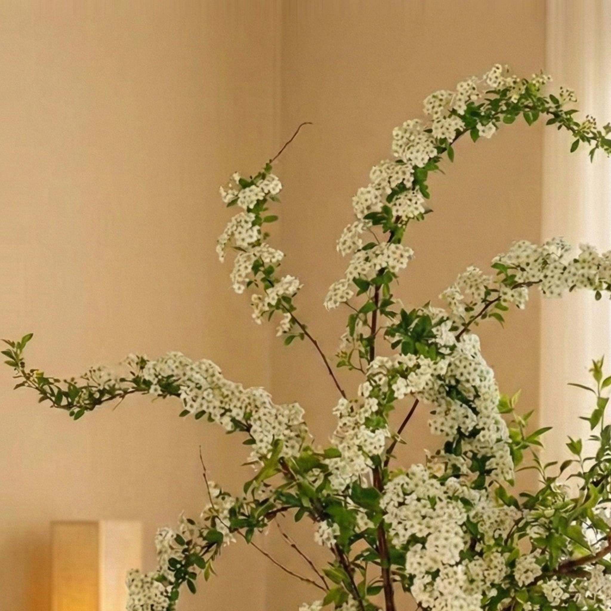 景德镇大花瓶饰家高级梅花瓷器花水艺术简约高品改造中古