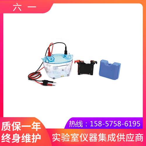 北京六一DYCZ-40K转印电泳仪