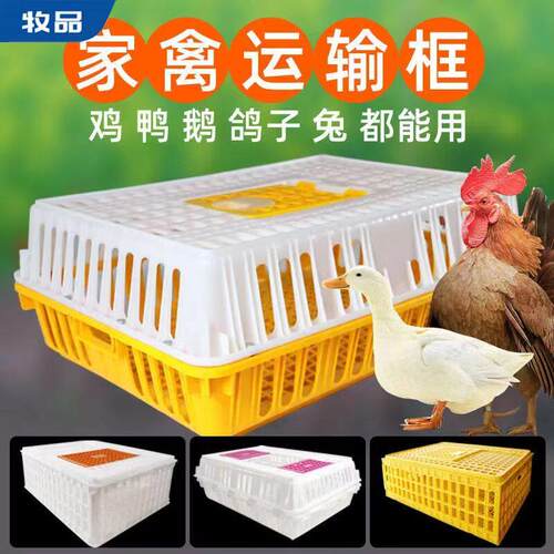 鸡笼运输笼塑料家禽周转箱筐成鸡鸭鹅鸽子笼子家用大号兔笼养殖笼