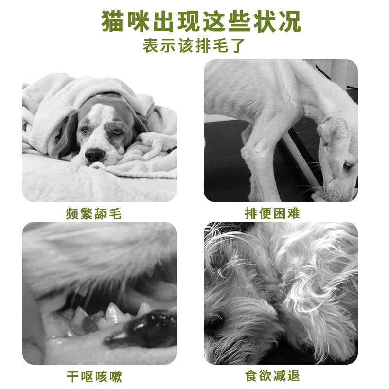 杰羚猫草片化毛球片猫咪去毛球狗狗通用消化吐毛排毛宠物化毛膏