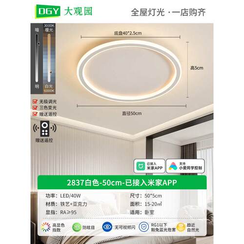 主年吸顶灯现代新款超薄极灯2025房间灯卧室简约护眼卧灯简大观园
