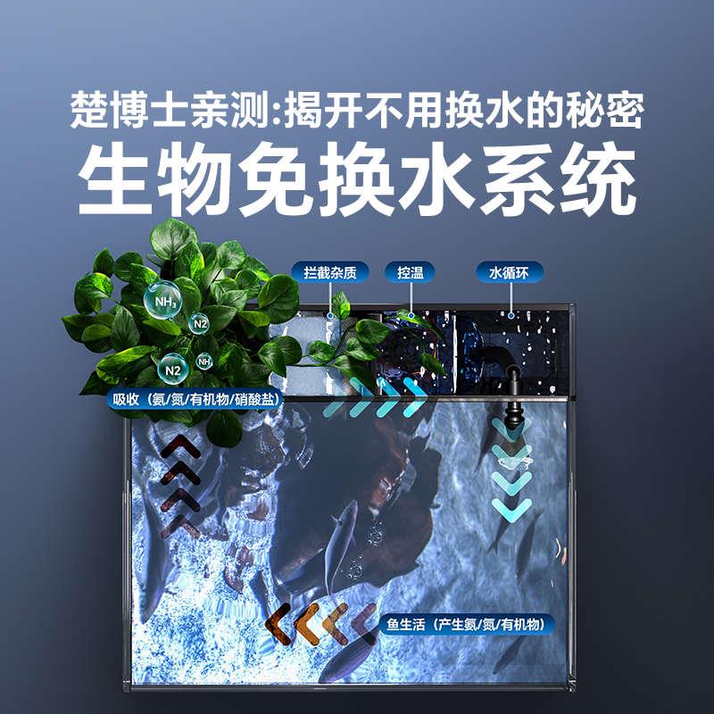 背滤鱼缸玻璃小型生态一体式背过滤自循环免换水懒人客厅2024新款